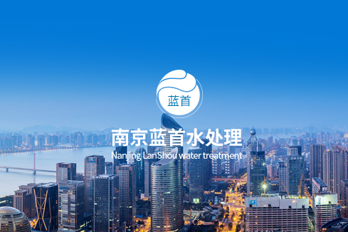 昌宁建站-南京蓝首水处理设备有限公司