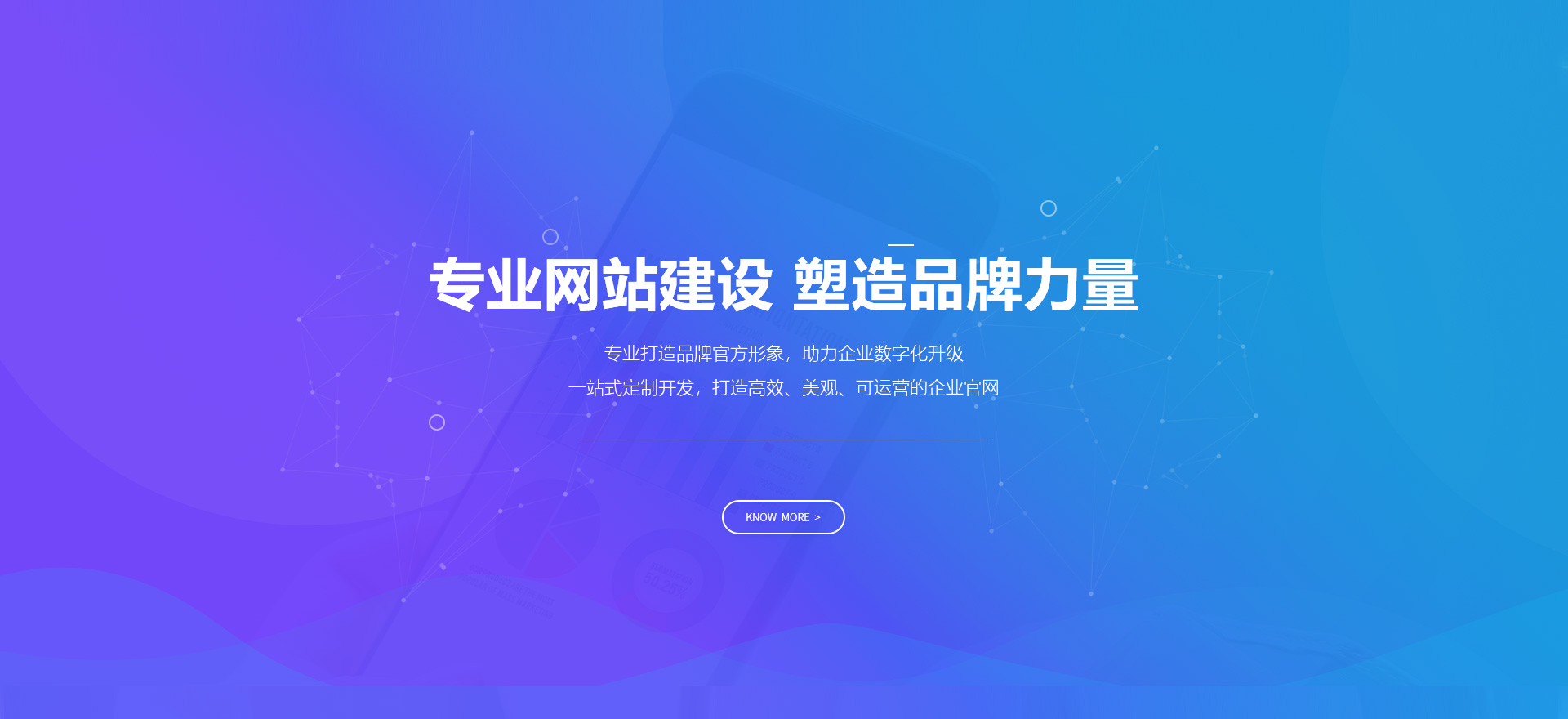 昌宁建站-专业网站建设 塑造品牌力量