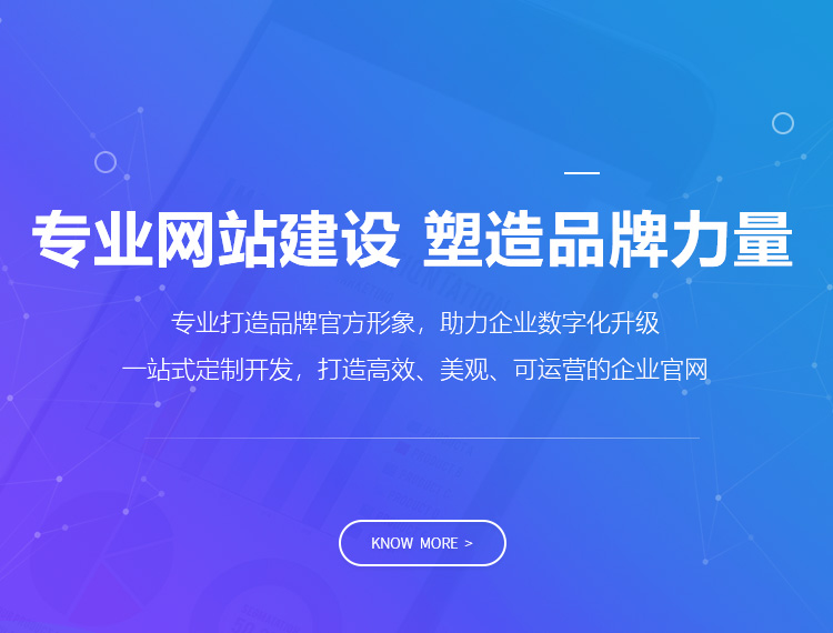昌宁建站-专业网站建设 塑造品牌力量